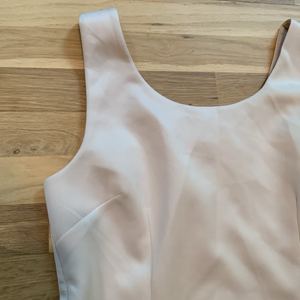 NWT Carmen Marc Valvo Nina Sleeveless Peplum Dress Beige Crystal Women’s 10 - Picture 4 of 15